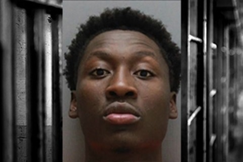 Debisa Ephraim Mugshot