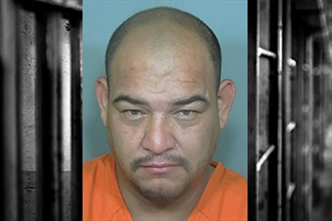 Luis Castro Mugshot